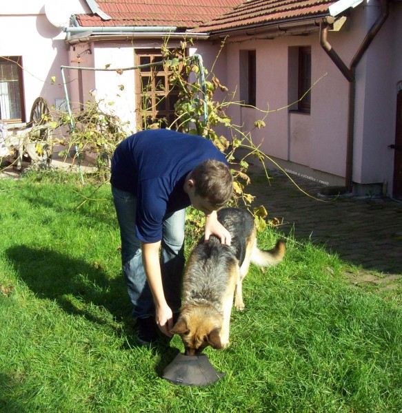 Pravěká psí miska