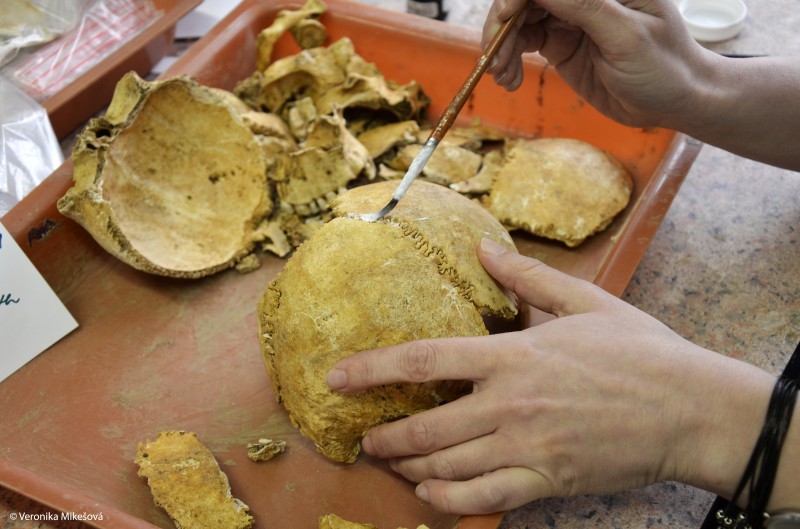 Ač jsou archeologické nálezy převážně fragmentarizované, někdy se zachová dostatek částí ke spojení.