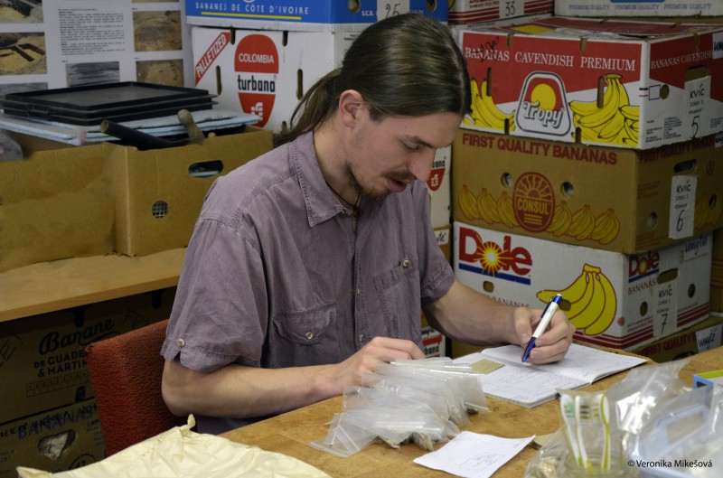 Archeolog musí všechny nálezy z výzkumu důkladně projít.